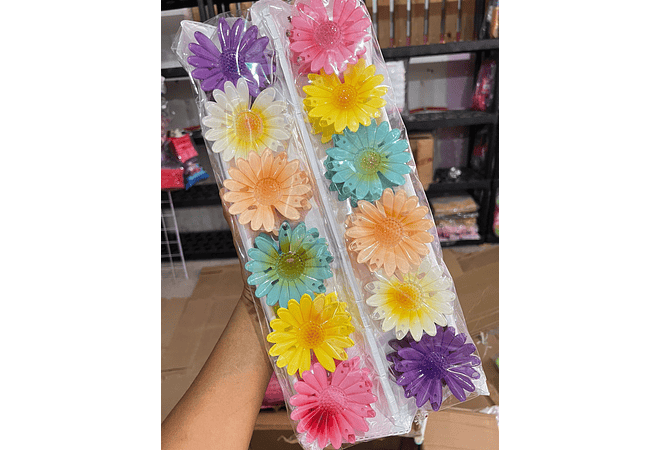 DOCENA DE PINZAS HAWAIANA PARA EL CABELLO VARIOS MODELOS🌸🌺🪻