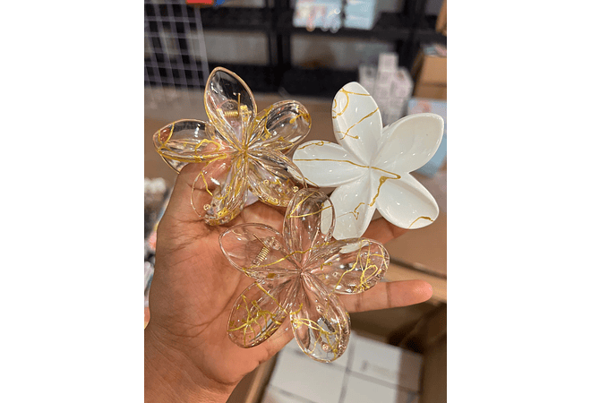 DOCENA DE PINZAS HAWAIANA PARA EL CABELLO VARIOS MODELOS🌸🌺🪻