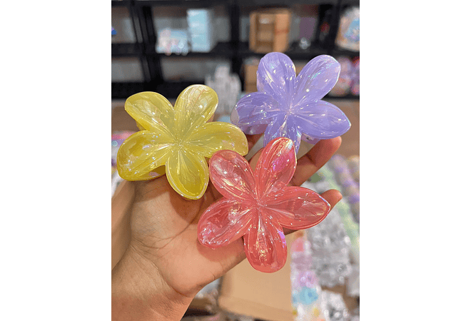 DOCENA DE PINZAS HAWAIANA PARA EL CABELLO VARIOS MODELOS🌸🌺🪻
