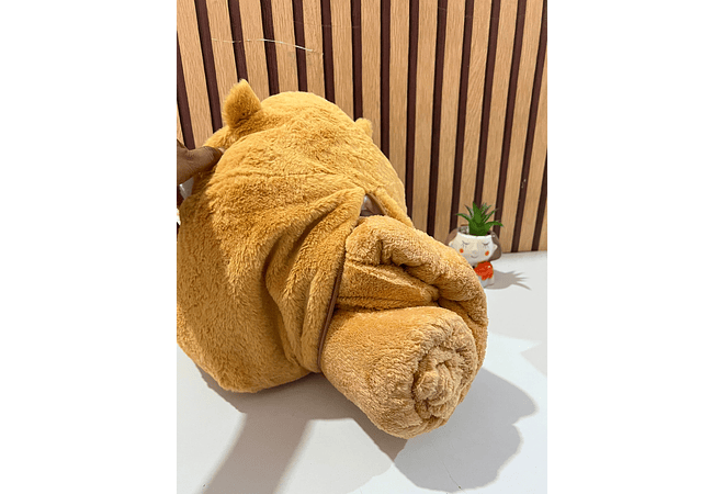 PELUCHE DISEÑO HAMSTER CON FRAZADA MOD# 017 🐿️