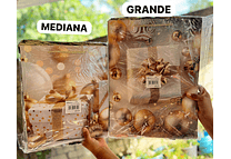 DOCENA DE BOLSAS PARA REGALO (MEDIANA O GRANDE) DORADAS #LPD04-218 -219🎁🎉☃️