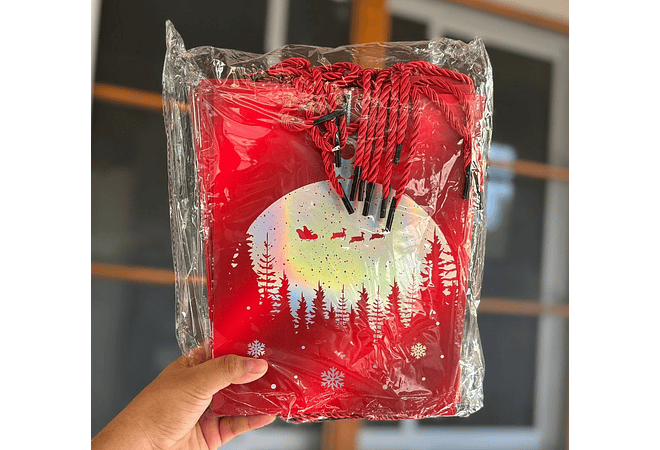 DOCENA DE  BOLSAS PARA REGALO DISEÑO NAVIDAD (CHICA MEDIANA O GRANDE) ROJO/PLATEADO LPD93-211-212-213🎄 🎁🛍️