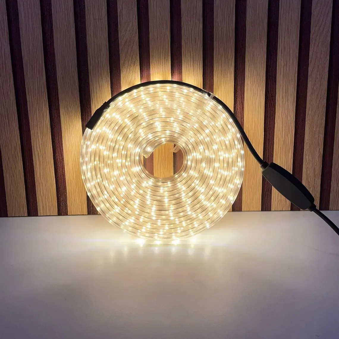 10 MTS MANGUERA PLANA LUZ LED CALIDA MOD# T10401N 2