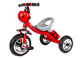 TRICICLO INFANTIL (CATARINA) 🐞MOD# GTS674