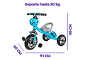 TRICICLO INFANTIL (CATARINA) 🐞MOD# GTS674