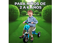 TRICICLO INFANTIL (CATARINA) 🐞MOD# GTS674