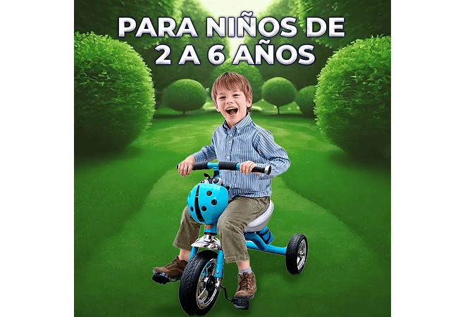 TRICICLO INFANTIL (CATARINA) 🐞MOD# GTS674