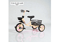 TRICICLO INFANTIL CON CANASTA Y SONIDO MOD# GTS675