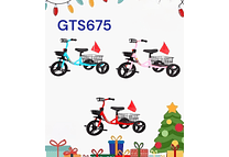 TRICICLO INFANTIL CON CANASTA Y SONIDO MOD# GTS675