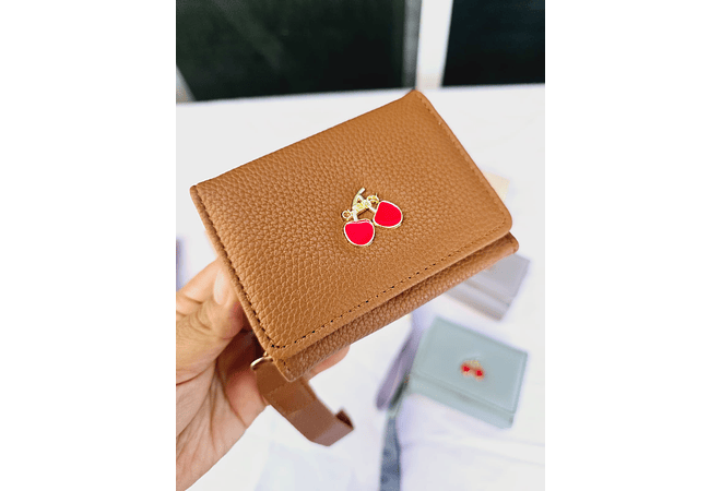 CARTERA/MONEDERO (CERRZAS) AL AZARMOD# JMO233 👝🍒