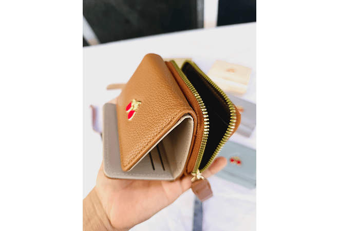 CARTERA/MONEDERO (CERRZAS) AL AZARMOD# JMO233 👝🍒