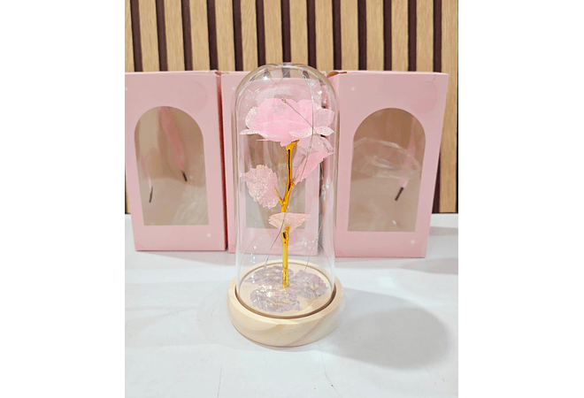 CÚPULA CON ROSA ETERNA Y LUZ