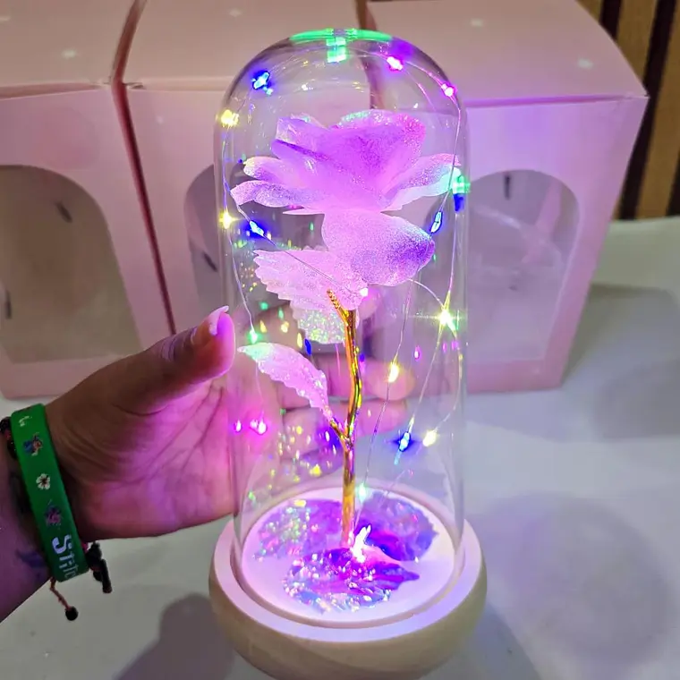 CÚPULA CON ROSA ETERNA Y LUZ 2