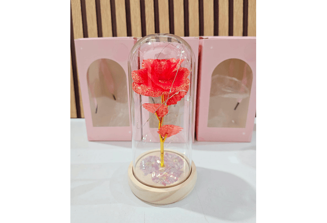 CÚPULA CON ROSA ETERNA Y LUZ