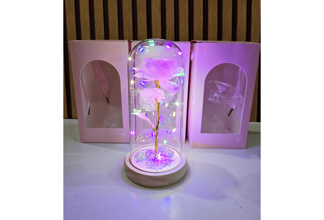 CÚPULA CON ROSA ETERNA Y LUZ