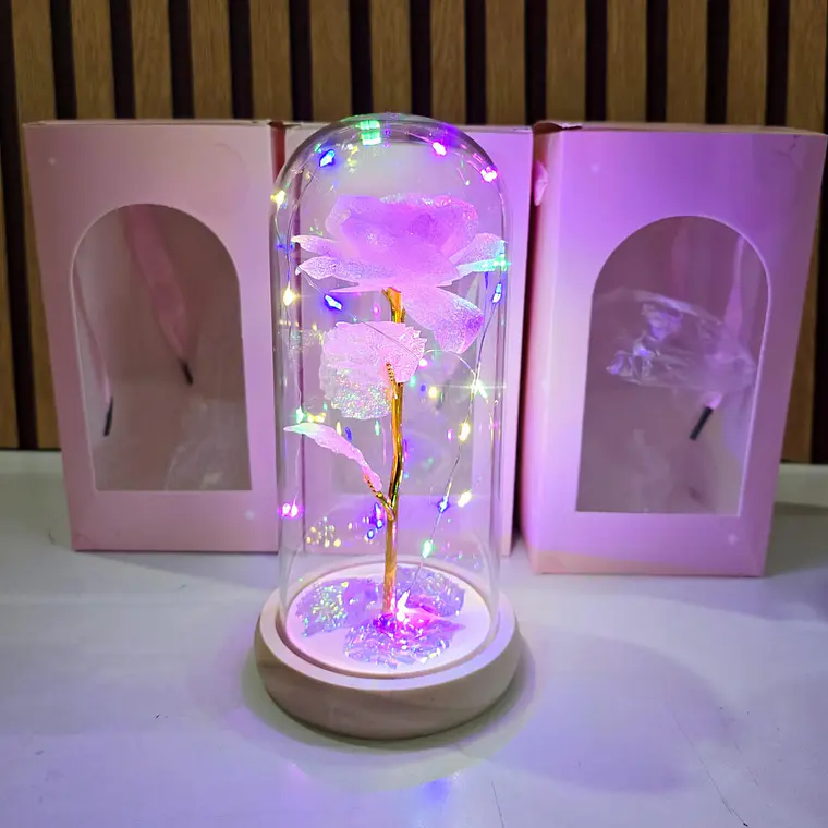 CÚPULA CON ROSA ETERNA Y LUZ 3