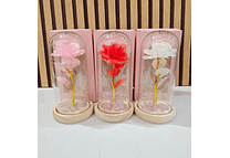 CÚPULA CON ROSA ETERNA Y LUZ