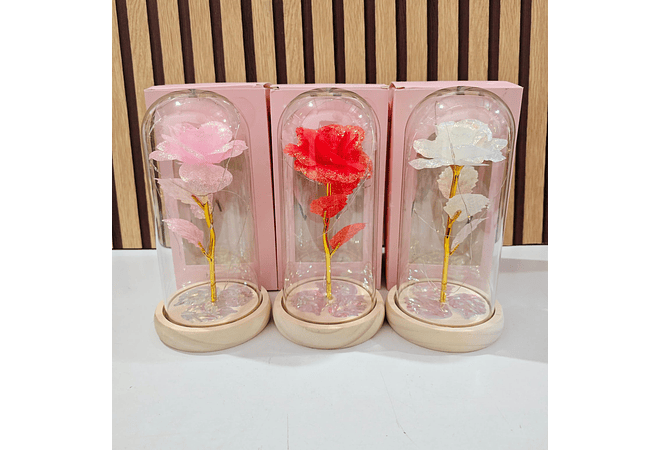 CÚPULA CON ROSA ETERNA Y LUZ