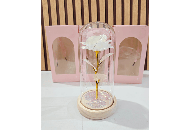 CÚPULA CON ROSA ETERNA Y LUZ