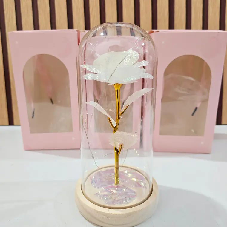 CÚPULA CON ROSA ETERNA Y LUZ 4