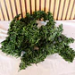 3 MTS GUIA GUIRNALDA VERDE/ ADORNO NAVIDEÑO MOD# ZG-270T- - Miniatura 9