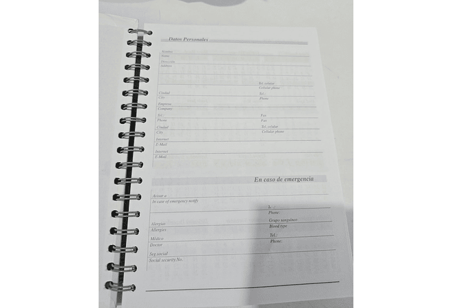 (RAYAS)AGENDA 2026 VAN GOGH MOD# TK-0202BJ