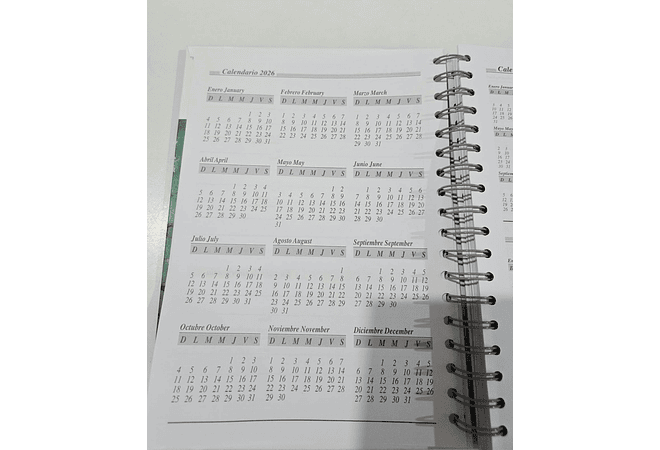 (RAYAS)AGENDA 2026 VAN GOGH MOD# TK-0202BJ