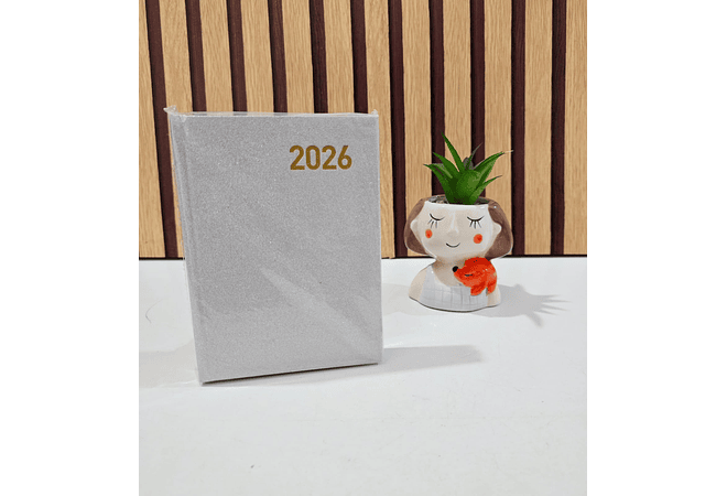 MINI AGENDA 2026 CON BRILLOS COLORES LISOS MOD# TK-0213BJ