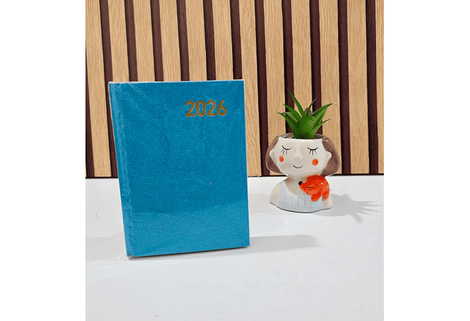 MINI AGENDA 2026 CON BRILLOS COLORES LISOS MOD# TK-0213BJ