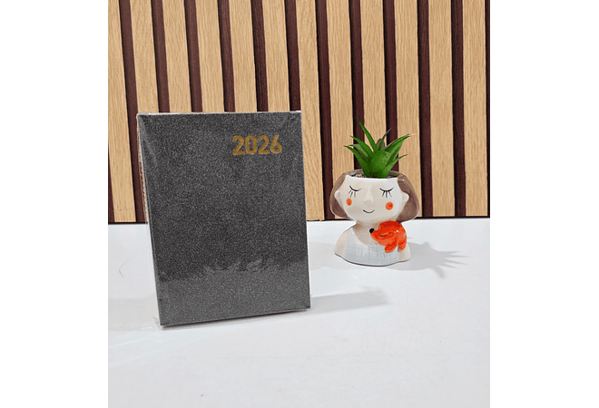 MINI AGENDA 2026 CON BRILLOS COLORES LISOS MOD# TK-0213BJ