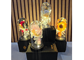 🌻CÚPULA CON ROSA ETERNA DE JABÓN Y LUZ LED MOD# 182 (cajita negra)