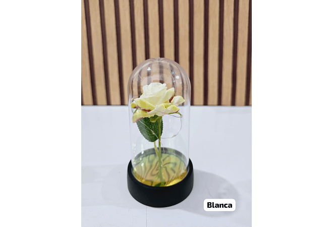 🪷CUPULA DE PLÁSTICO CON ROSA Y LUZ LED ETERNA MOD# 7011