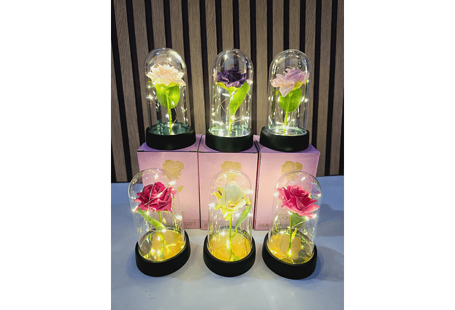 🪷CUPULA DE PLÁSTICO CON ROSA Y LUZ LED ETERNA MOD# 7011