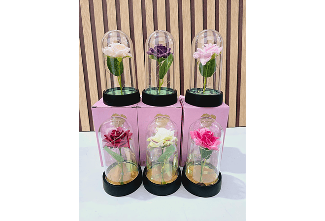🪷CUPULA DE PLÁSTICO CON ROSA Y LUZ LED ETERNA MOD# 7011