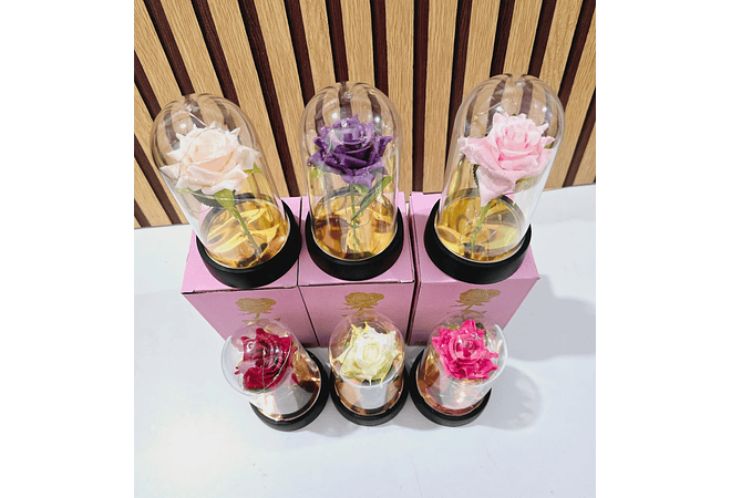 🪷CUPULA DE PLÁSTICO CON ROSA Y LUZ LED ETERNA MOD# 7011