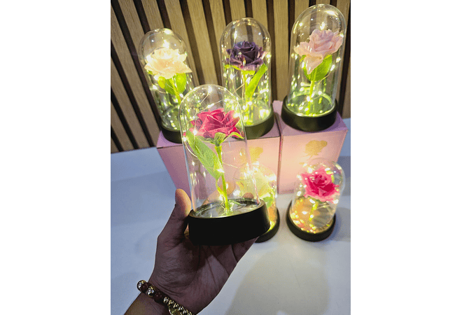 🪷CUPULA DE PLÁSTICO CON ROSA Y LUZ LED ETERNA MOD# 7011