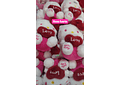 PELUCHE  HELLO KITTY LOVE MODEL #LBQ-98913
