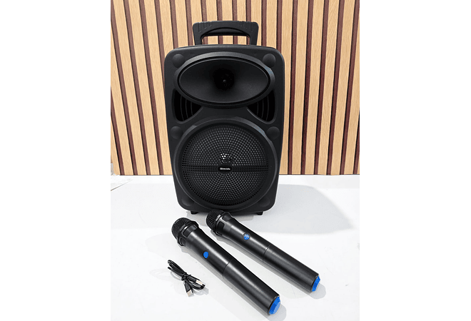 BOCINA GRANDE INALÁMBRICA CON 2 MICRÓFONOS INCLUIDOS MOD# RFR-344 🎤🎶