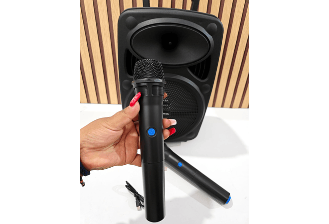 BOCINA GRANDE INALÁMBRICA CON 2 MICRÓFONOS INCLUIDOS MOD# RFR-344 🎤🎶