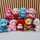PELUCHE CORAZÓN DE LENTEJUELAS VARIOS DISEÑOS AL AZAR (COLORES) MOD# MRX2503 - Miniatura 2