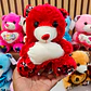 PELUCHE CORAZÓN DE LENTEJUELAS VARIOS DISEÑOS AL AZAR (COLORES) MOD# MRX2503 - Miniatura 6