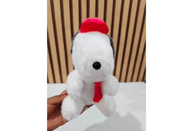 PELUCHES VARIOS MODELOS🧸🥰