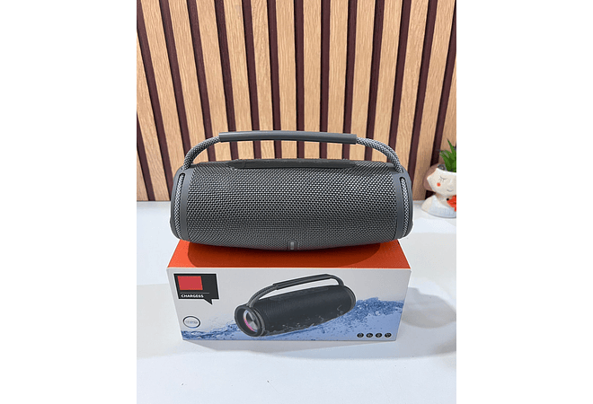 BOCINA CHANGER6S CON LUZ LED MOD#FM-5504