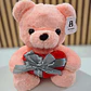OSO DE PELUCHE CON CORAZÓN MOD# XZWG-23364  ❤️🧸 - Miniatura 4