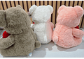 OSO DE PELUCHE CON CORAZÓN MOD# XZWG-23364  ❤️🧸