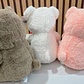 OSO DE PELUCHE CON CORAZÓN MOD# XZWG-23364  ❤️🧸 - Miniatura 6