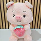 PELUCHES GRANDES VARIOS MODELOS WYK5-7,WYK-11,WY5-10 - Miniatura 5
