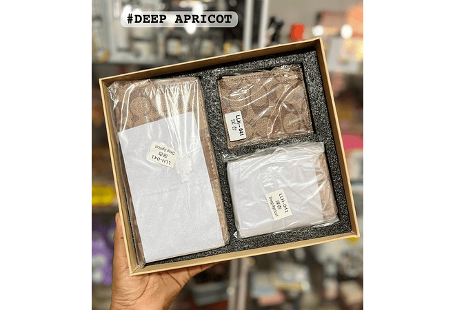 SET DE REGALO CARTERA COACH IMITACIÓN MODELO #LLH-041