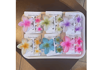 🌺DOCENA DE PINZAS HAWAIANA TRIO MODELO ZDC4218  🌺