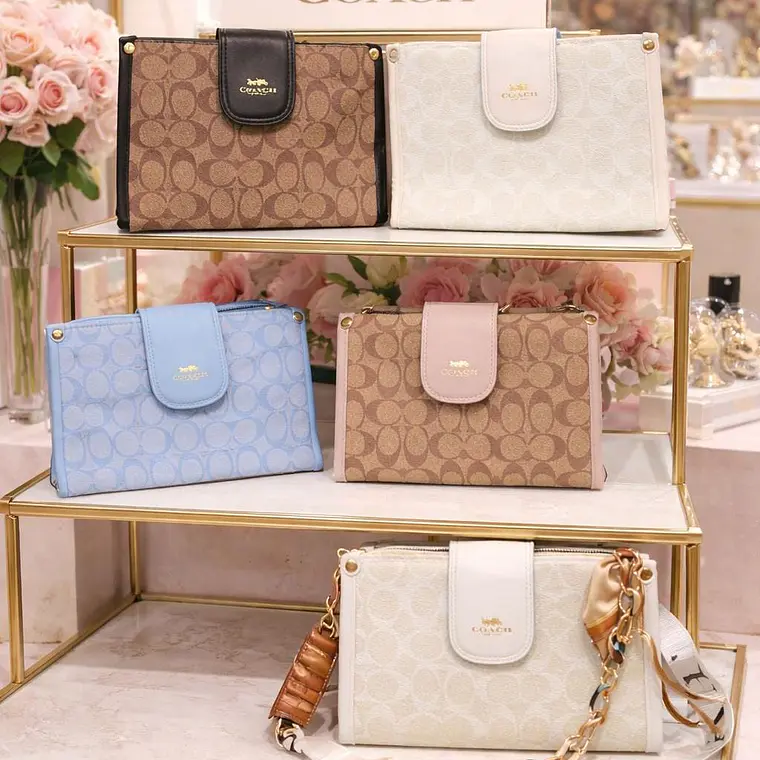 BOLSA COACH CON COLGANTE, CORREA Y CADENA MOD #115 1